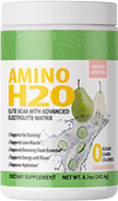 Amino H2O Summer Lemonade 1 Bottle Package