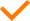 orange checkmark